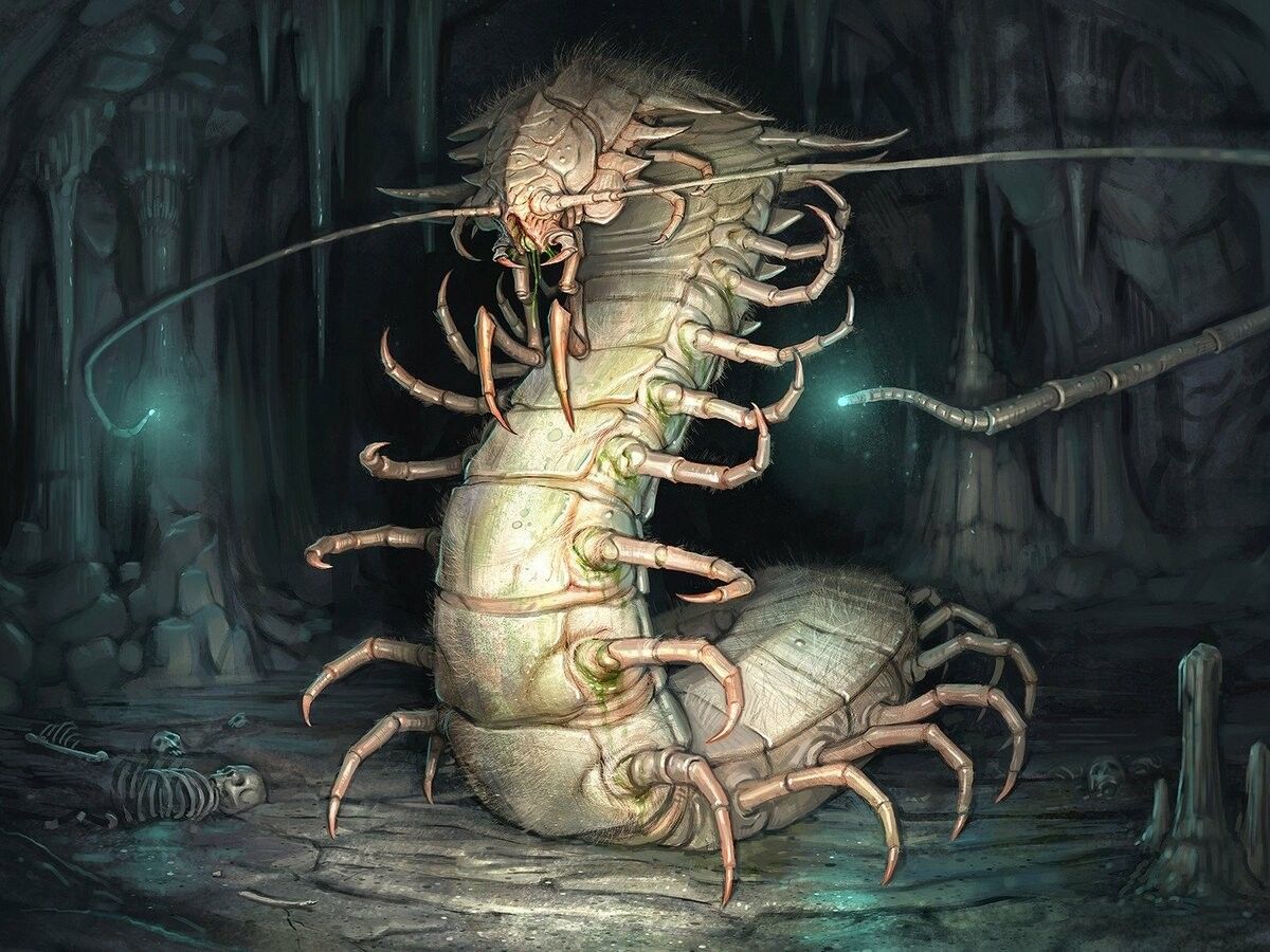 Riesentausendfüßler